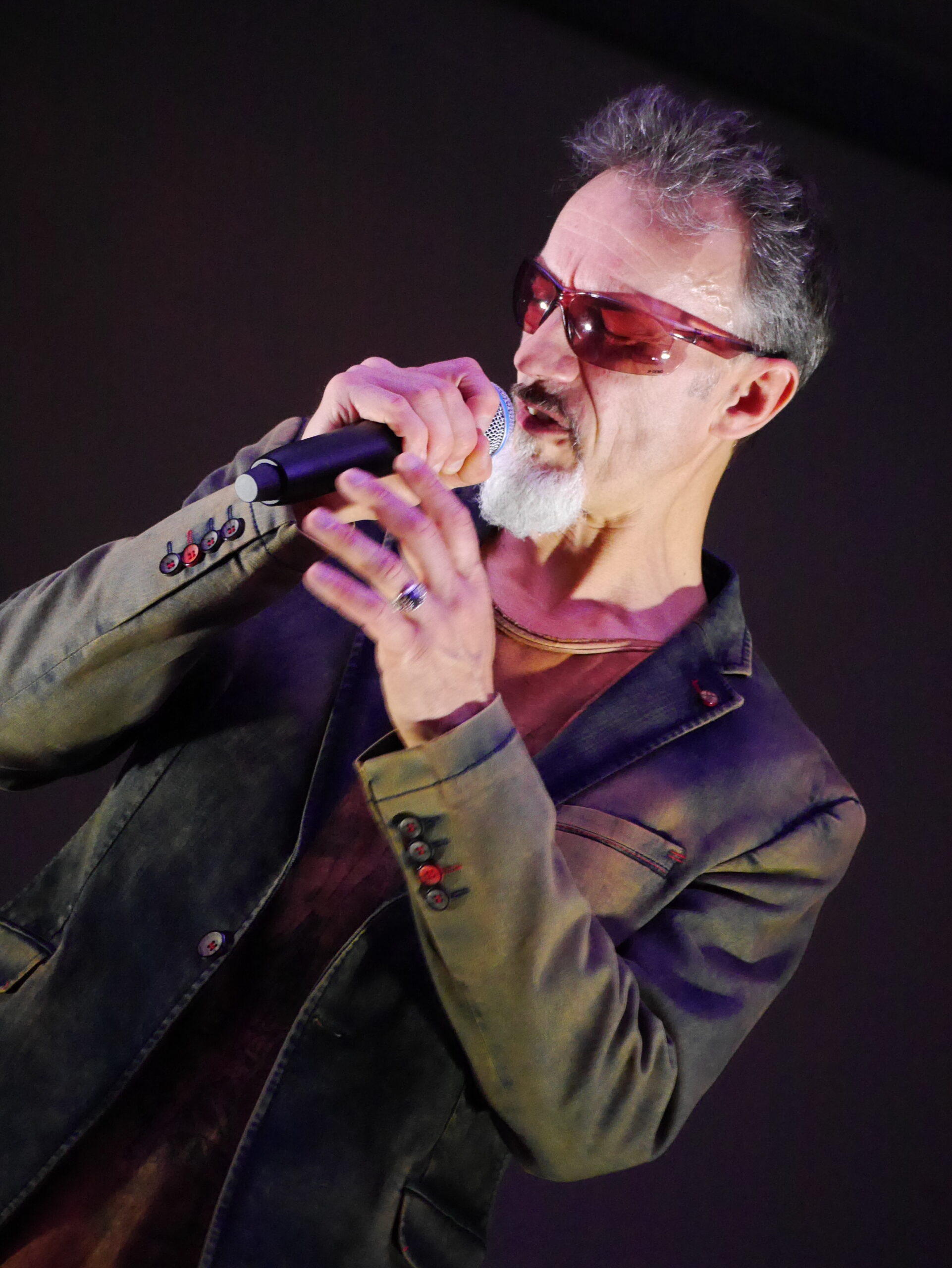 Animation Show Sosie F.Pagny