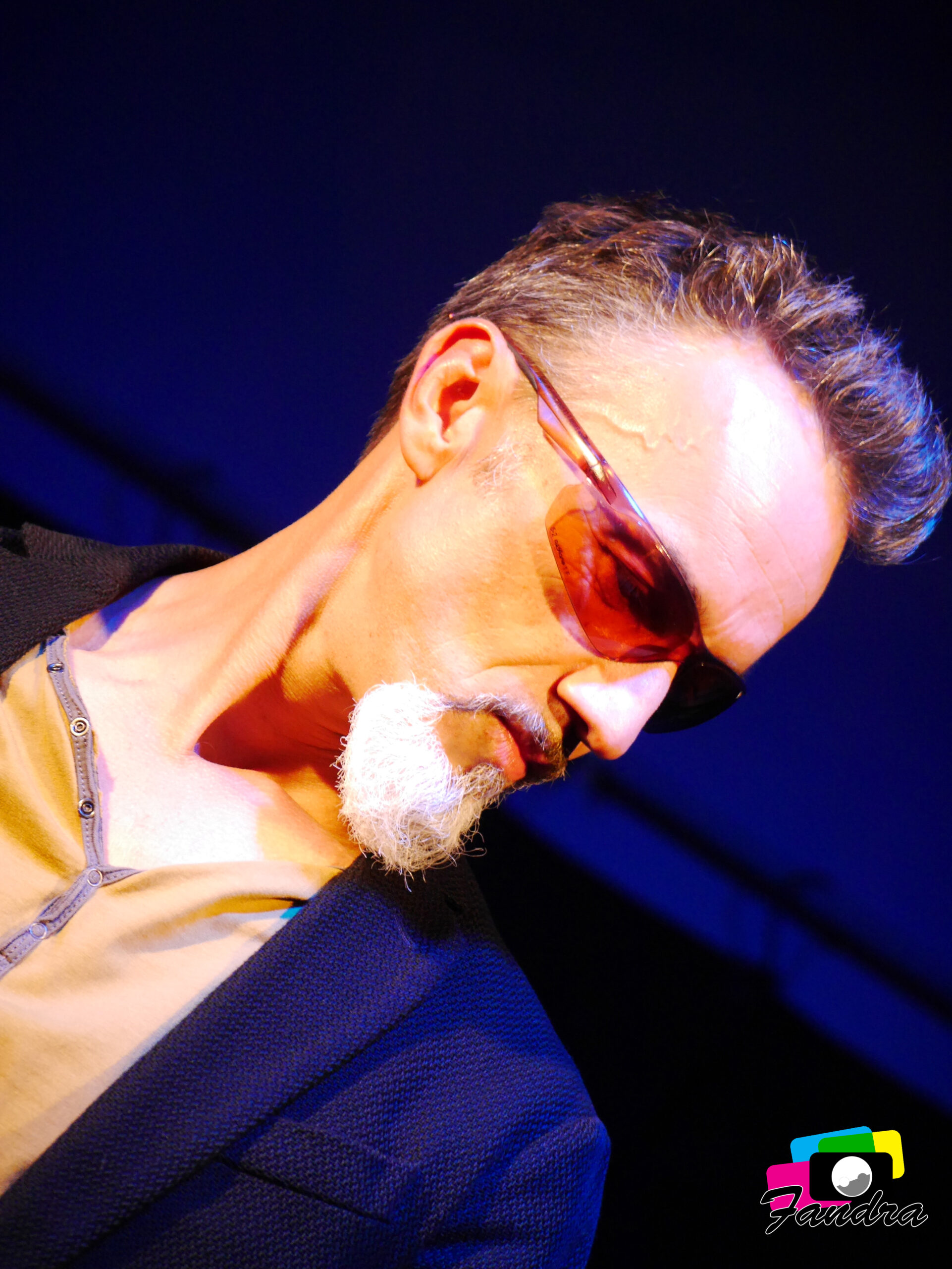 Animation Show Sosie F.Pagny